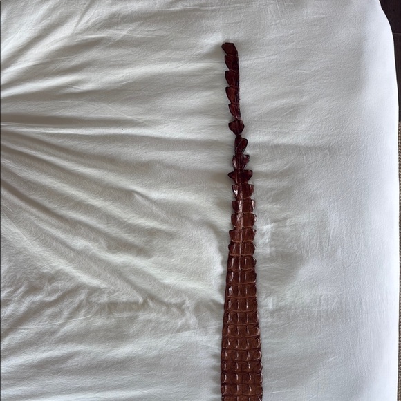 Brown Crocodile Leather Belt - Picture 3 of 5